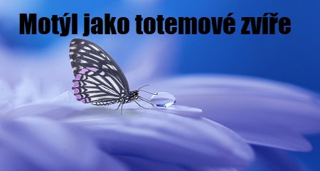 Jitka Bartošová: Motýl jako totemové zvíře