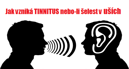 Ing. Peter Studeník: Jak vzniká TINNITUS nebo-li šelest v uších